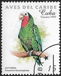 Amazone de Cuba