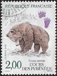 L'ours des PyrÃ©nÃ©es - Ursus arctos