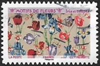 Iris et tulipes