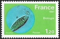 Biologie - Micro-organisme