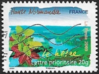 Haute-Normandie - Le hÃªtre