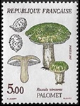 Palomet - Russula virescens