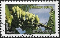 Bananes IndonÃ©sie