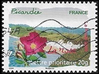 Picardie - La rose
