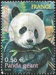 Panda gÃ©ant