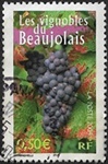 Le vignoble du Beaujolais