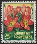 Tulipier du Gabon