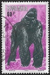 Gorille des montagnes